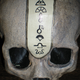 Illustration for article titled Mythic Delivers Code-Laden Human Skull